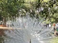 -昆明动物园
