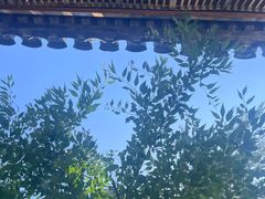-春风习习