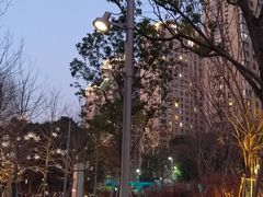 -徐汇万科中心-G座