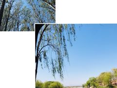 -东方巨龟苑景区