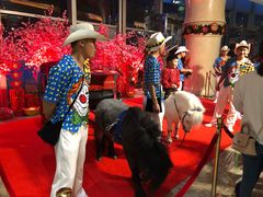 -珠海横琴长隆《卡卡虎奇遇记》