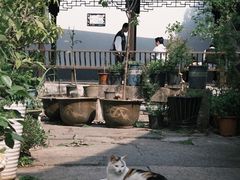 -绍兴书圣故里景区