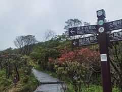 -大围山国家森林公园