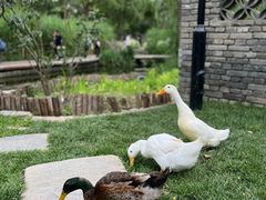 -三里河公园