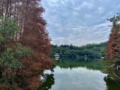 -深圳仙湖植物园