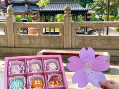 -稻香村(观前街店)