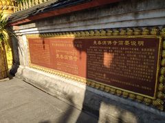 -西双版纳傣族园