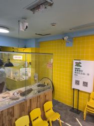 点击看大图 -神奇动物撸宠馆·羊驼·小浣熊·异宠(豫园店)