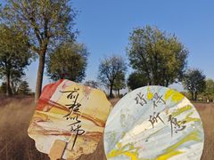 -汉长安城未央宫国家考古遗址公园