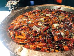 -雲蜀龙阁·金牌水煮鱼(方庄店)