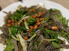 怀旧捞顺德爽鱼皮-张记旺角食街(动物园店)