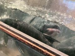 -上名堂·鱼头好吃(体育场路店)