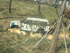 -西安秦岭野生动物园