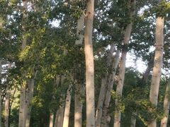 -元大都城垣遗址公园