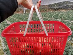 -白鹭湾湿地公园