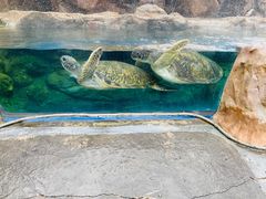 -珠海长隆海洋王国