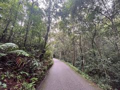 -普洱太阳河森林公园