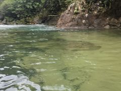 -增城大丰门漂流
