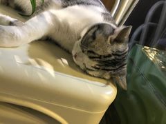 -小时光咖啡馆(开森度假森林店)