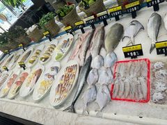 -莆鑫海鲜城(浏河店)