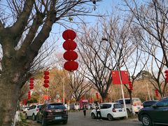 -滨海公园