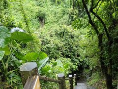 -海口火山口国家地质公园