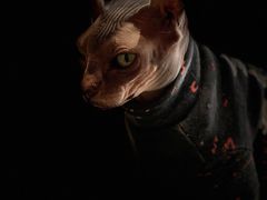 -藏猫猫咖啡主题馆(中央大道店)