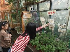 -上海大自然野生昆虫馆(东方明珠·爬宠昆虫探索中心)