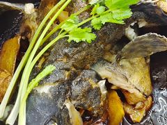 -鑫鸿达·海鲜闽菜热炒小馆(中山路店)