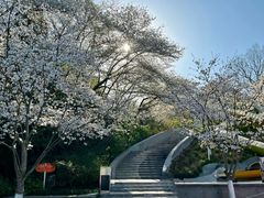 -杭州少年儿童公园