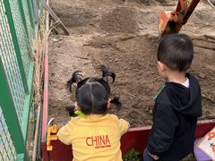 -堤角公园
