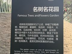 -东莞植物园