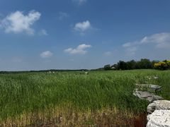 -西青郊野公园