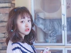 -猫的茶·猫咖