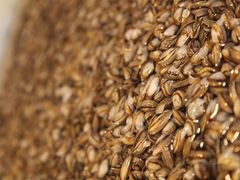 -华阳海鲜市场(府西路店)