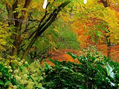 -共青国家森林公园-售票处