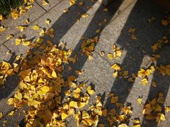 -必胜客(上海南站店)