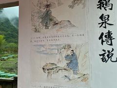 -靖西鹅泉风景区