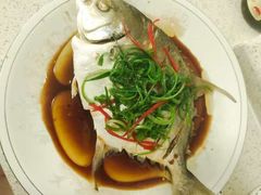 -天鹅到家·保姆月嫂育儿嫂(总店)