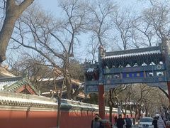 -北京国子监胡同