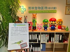 -雨林宠物医院·异宠专科(浦东分院)