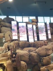 -卡通尼·Safari非洲探索乐园·生日会(金桥国际商业广场店)