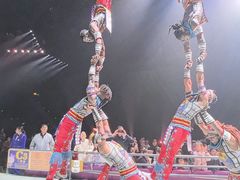 -广州长隆国际大马戏