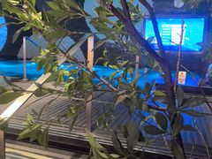 -漫·汤泉