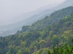 -缙云山景区
