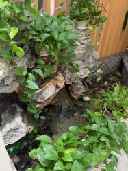 -雅曼妮spa美容养生