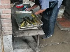-姥家大锅台水库渔家