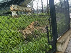 -大连森林动物园