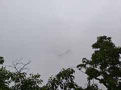 -栾川竹海野生动物园