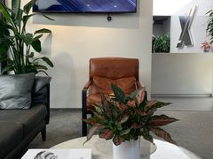 -跃通XPEL超级旗舰店(浦东店)